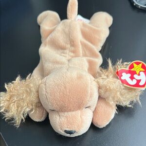 Ty Spunky with Rare tag